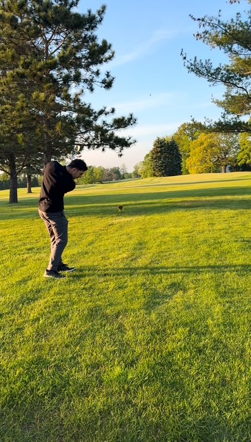 swing practice 